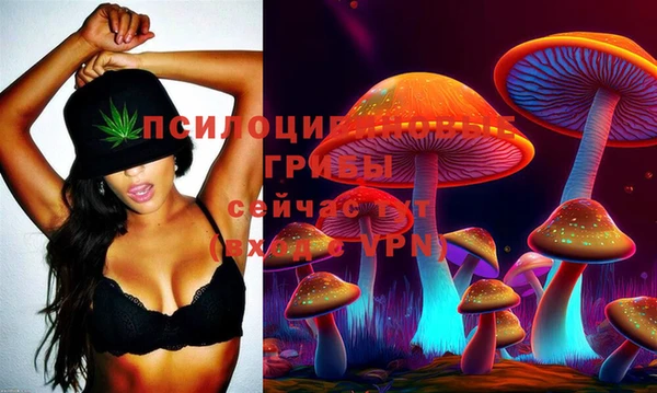 меф VHQ Дмитриев