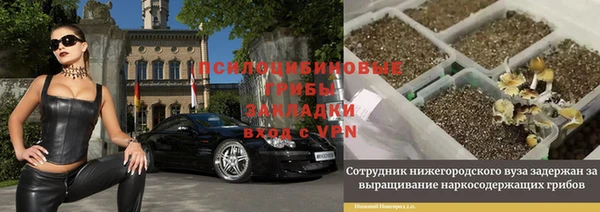 меф VHQ Дмитриев
