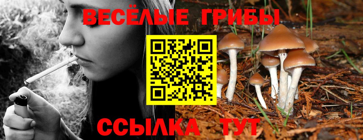 Псилоцибиновые грибы Magic Shrooms Дятьково