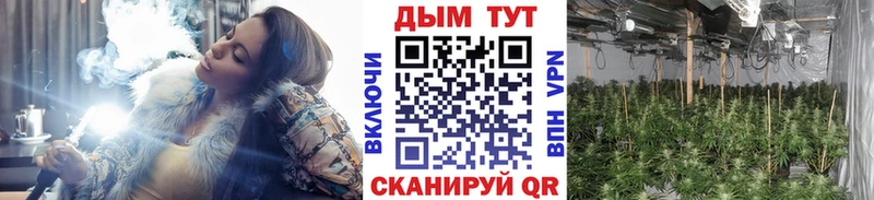 Бошки Шишки ГИДРОПОН  hydra ссылка  Дятьково 